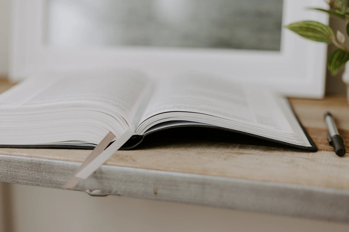 Blessed Is She Single-Column Journaling Bible (NRSV-CE, with Imprimatur)