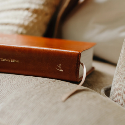 Catholic Compact Journaling Bible