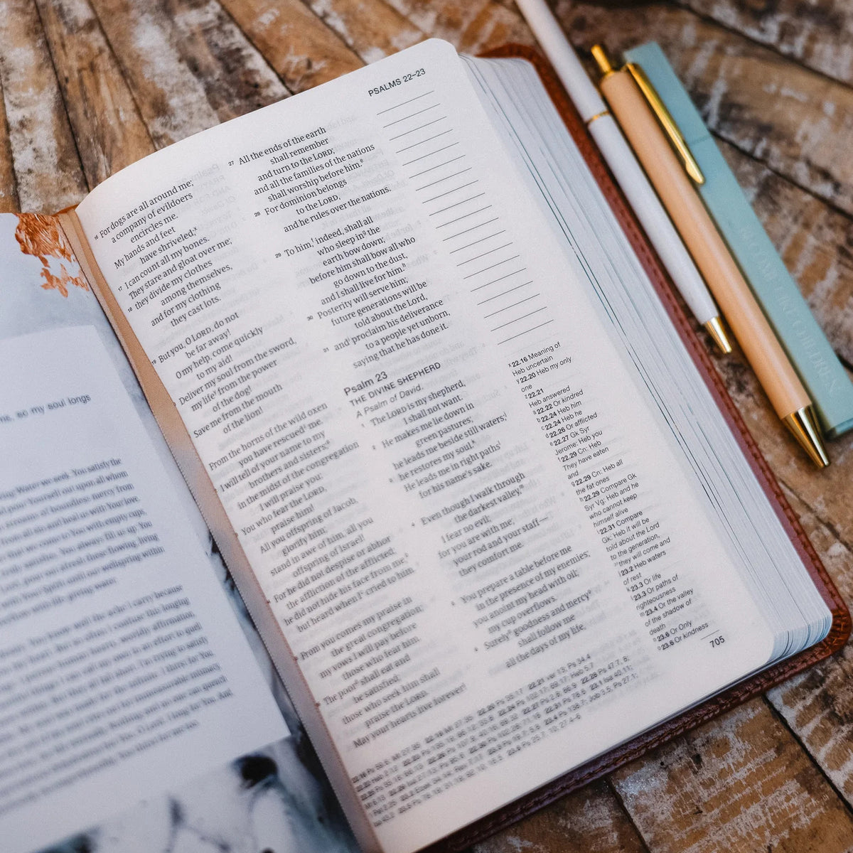 Catholic Compact Journaling Bible