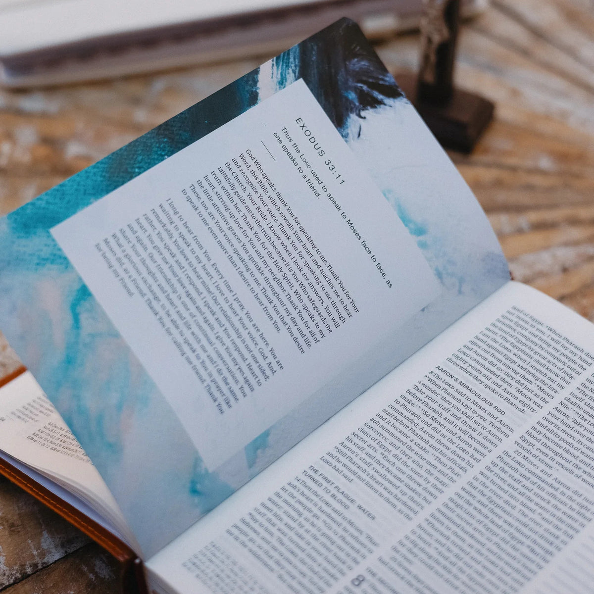 Catholic Compact Journaling Bible
