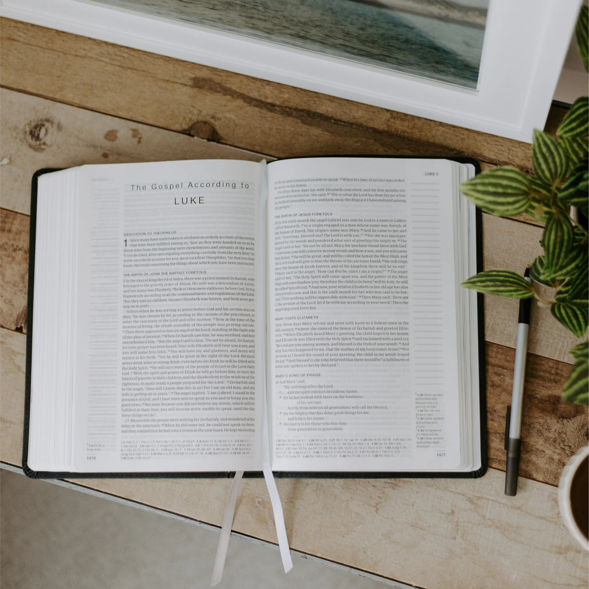 Blessed Is She Single-Column Journaling Bible (NRSV-CE, with Imprimatur)