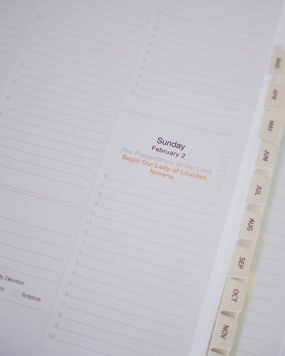 2025 Calendar Year Catholic Liturgical Planner // BIG Layout