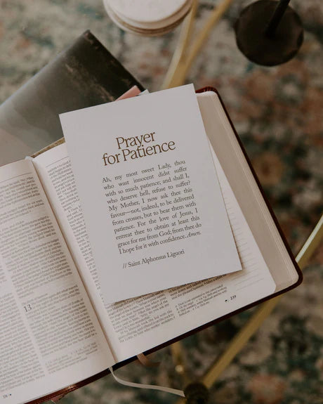 Marian Prayer Card Set (11 Cards)